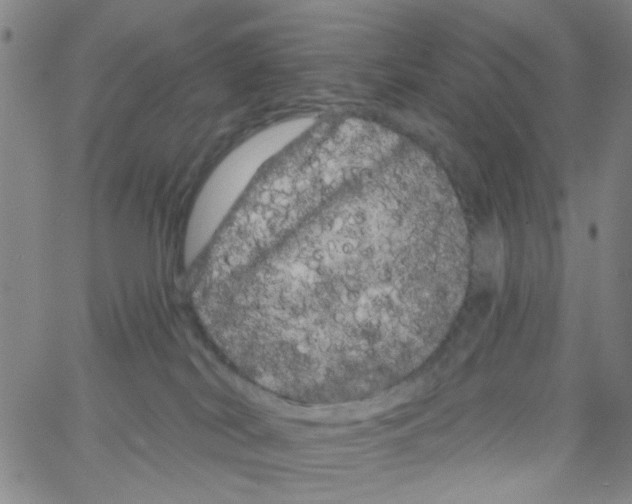 X0000066120038200604071923