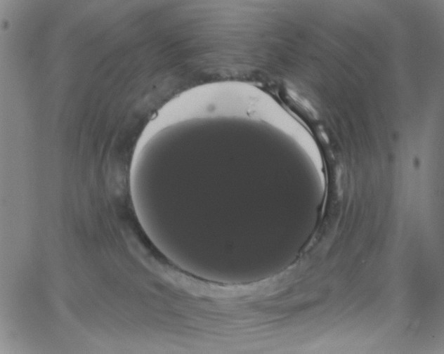 X0000066120039200604071923