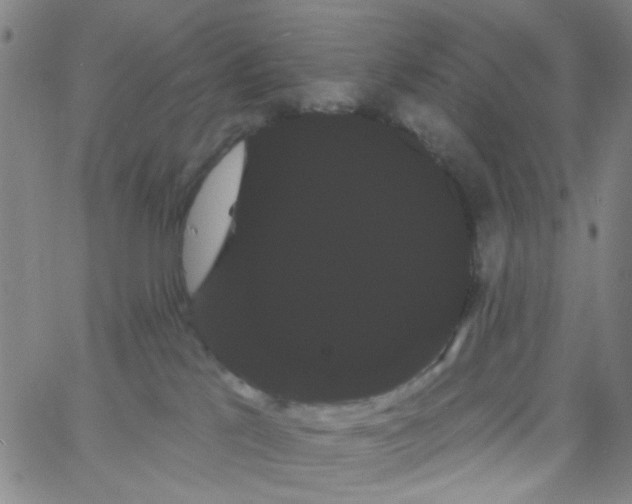 X0000066120041200604071923