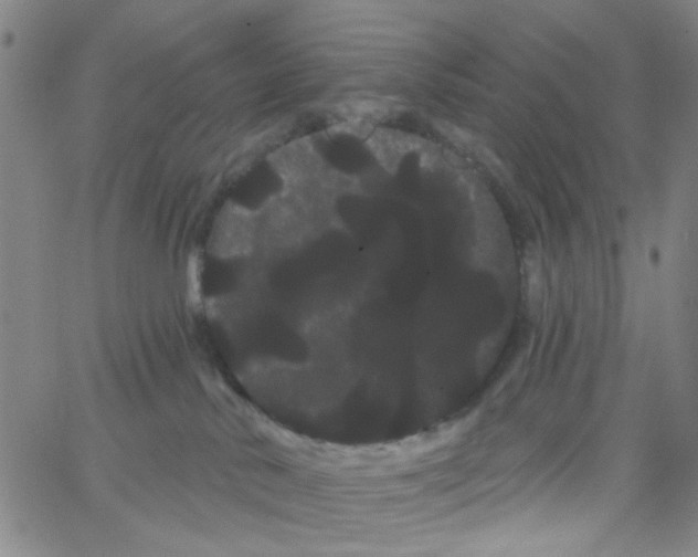 X0000066120042200604071923