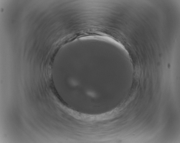 X0000066120043200604071923