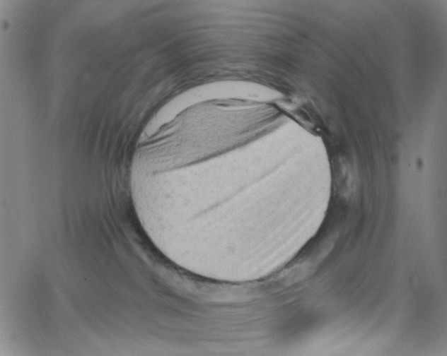 X0000066120044200604071923