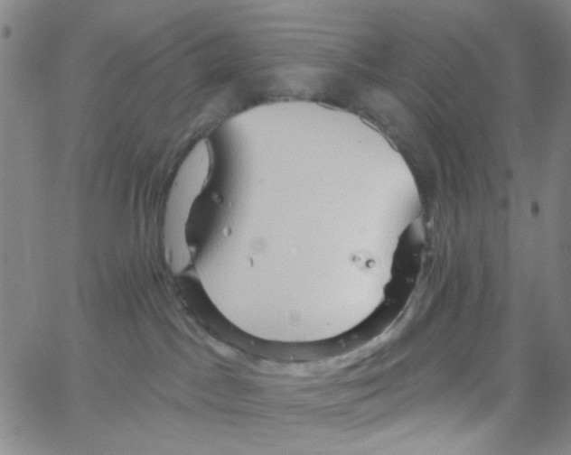 X0000066120045200604071923