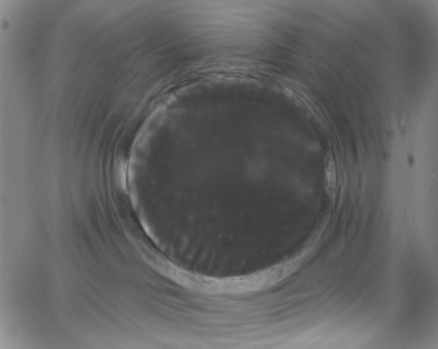 X0000066120046200604071923