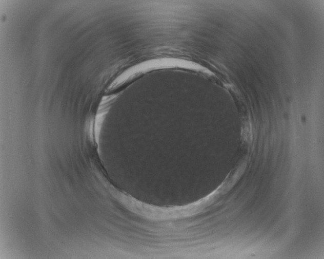 X0000066120047200604071923