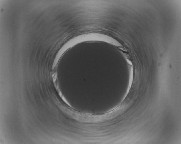 X0000066120048200604071923