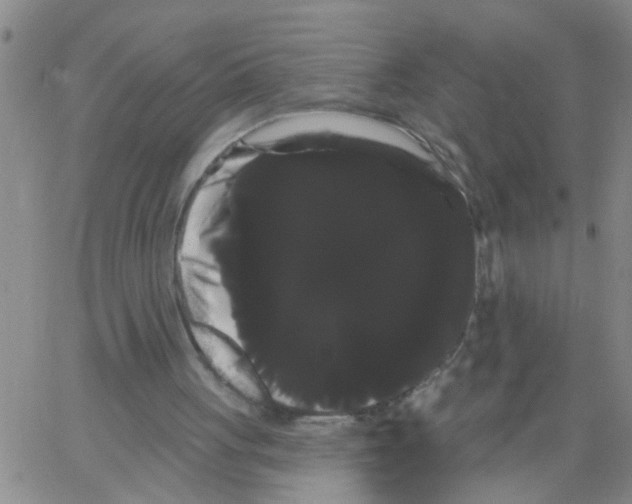 X0000066120051200604071922