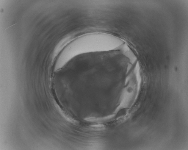 X0000066120053200604071922