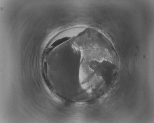 X0000066120055200604071922