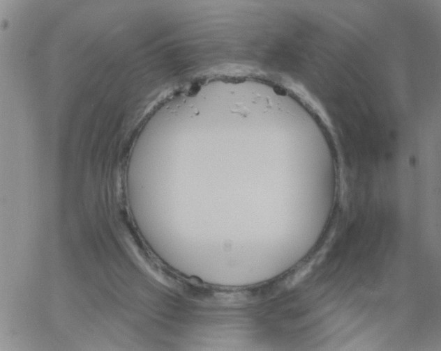 X0000066120057200604071922