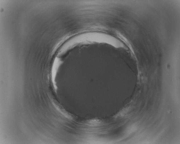 X0000066120059200604071922