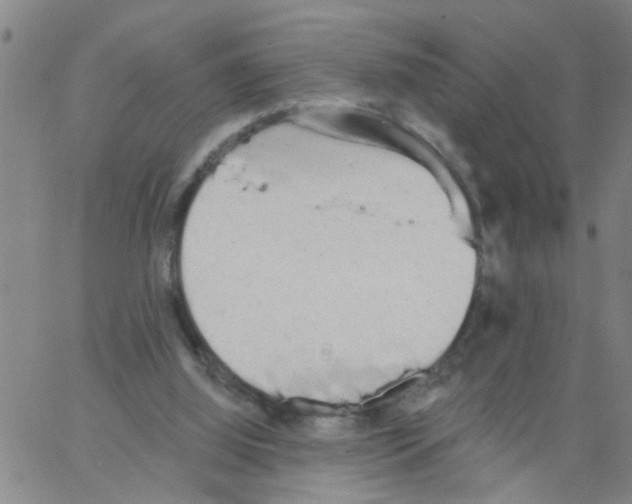 X0000066120060200604071922