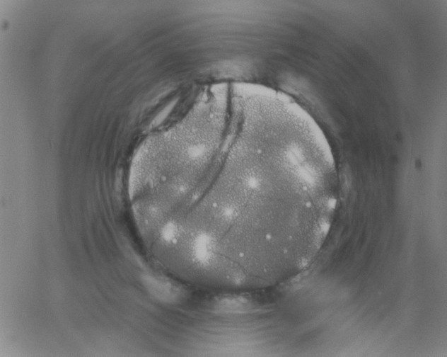 X0000066120066200604071922