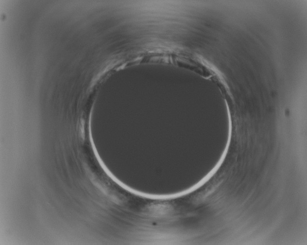 X0000066120067200604071922