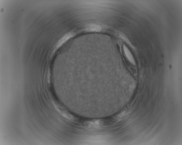 X0000066120068200604071922