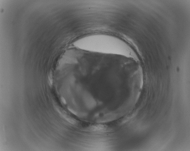 X0000066120069200604071922