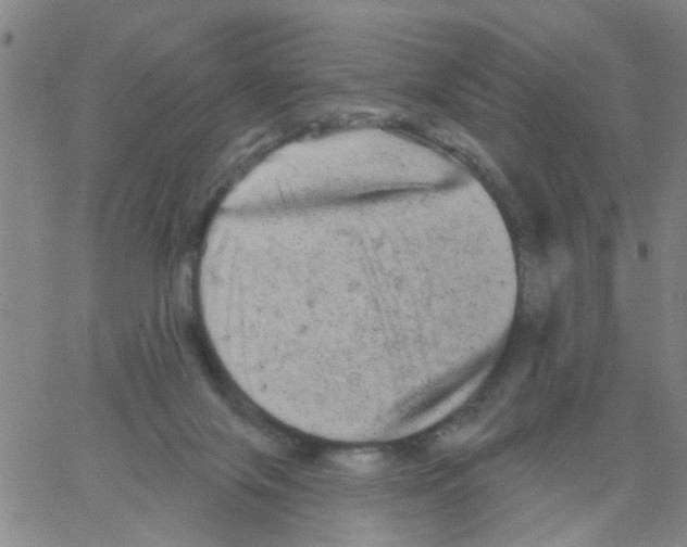 X0000066120071200604071922