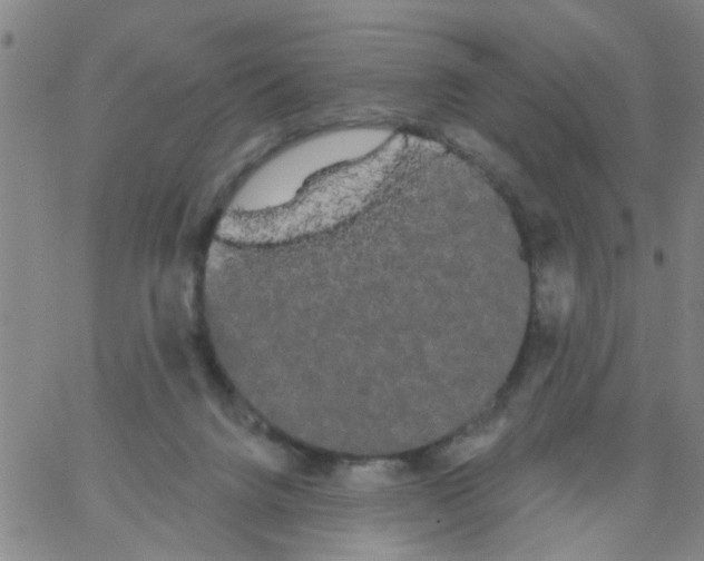 X0000066120072200604071922