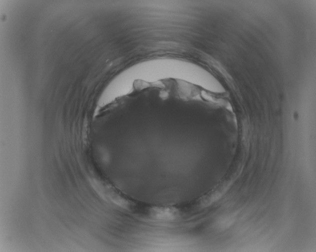 X0000066120073200604071922