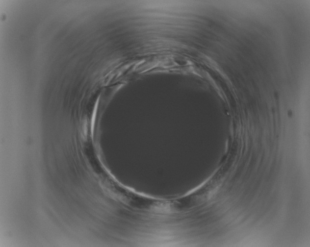 X0000066120076200604071922