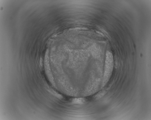 X0000066120077200604071922