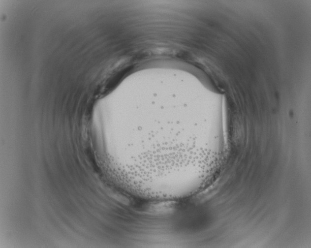 X0000066120078200604071922