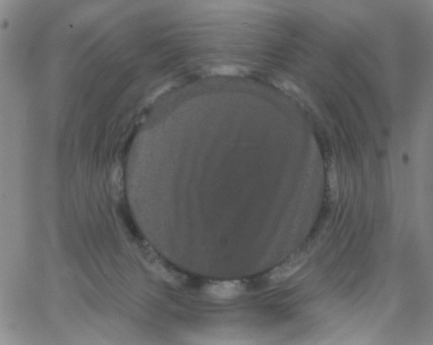 X0000066120079200604071922