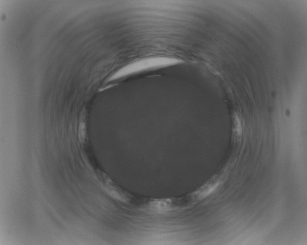 X0000066120080200604071922