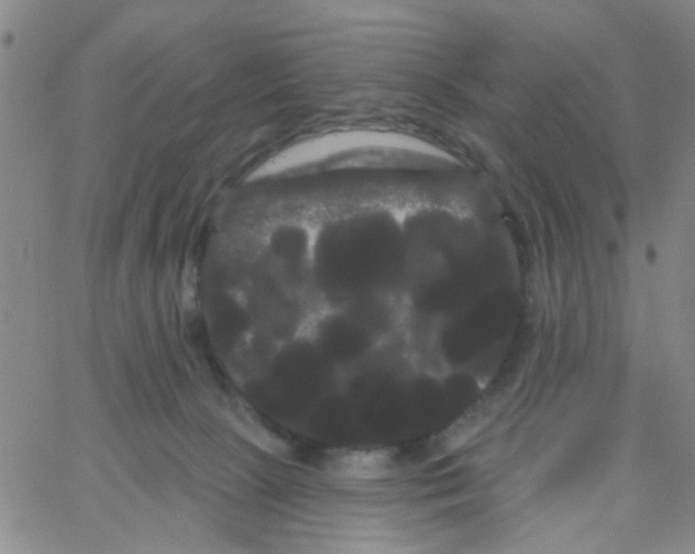 X0000066120081200604071922