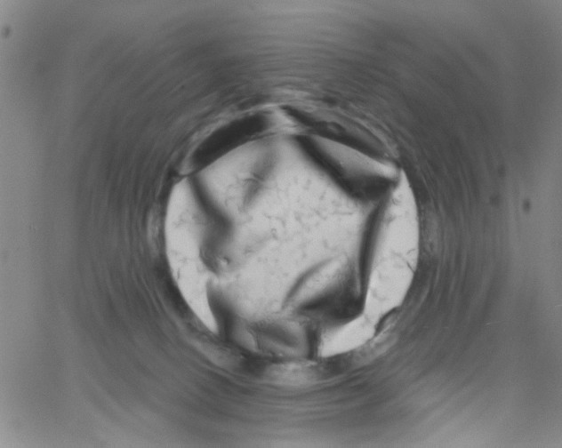 X0000066120082200604071923