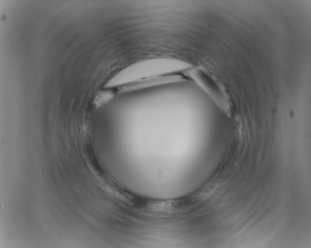 X0000066120084200604071923