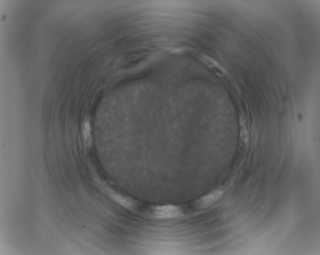 X0000066120087200604071923