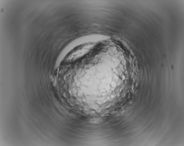 X0000066120088200604071923