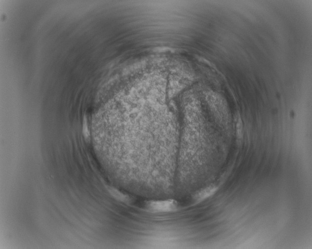 X0000066120089200604071923