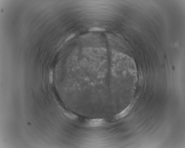 X0000066120090200604071923