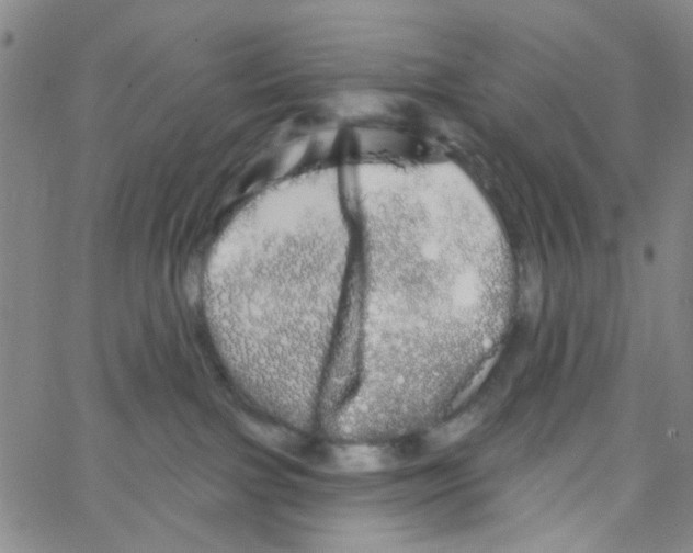 X0000066120091200604071923