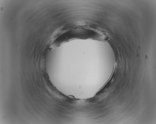 X0000066120092200604071923