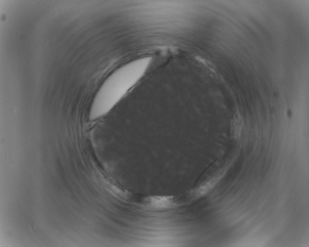 X0000066120093200604071923