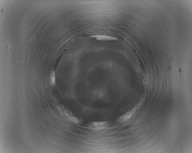 X0000066120095200604071923