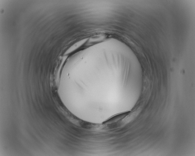 X0000066120096200604071923