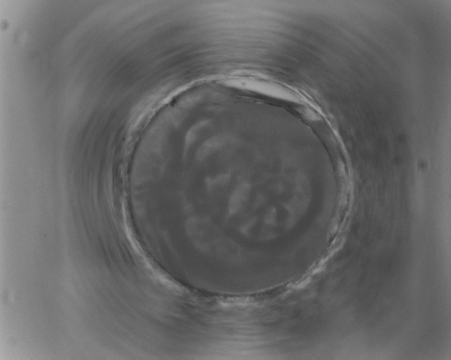 X0000066120097200604071922