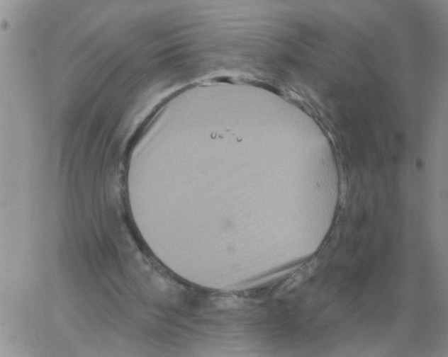 X0000066120098200604071922