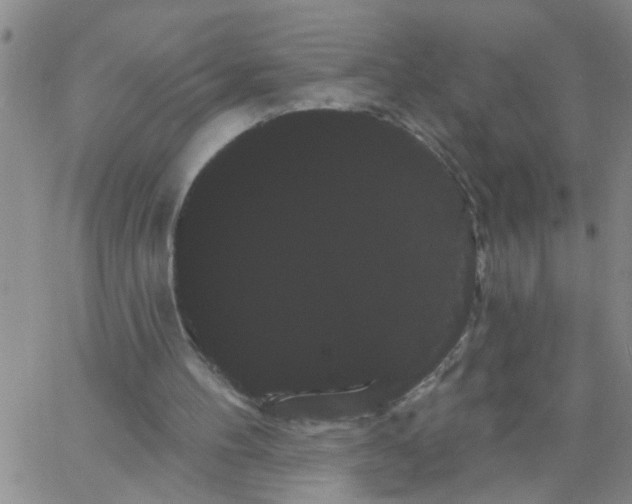 X0000066120100200604071922