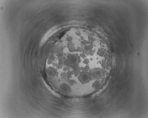 X0000066120101200604071922