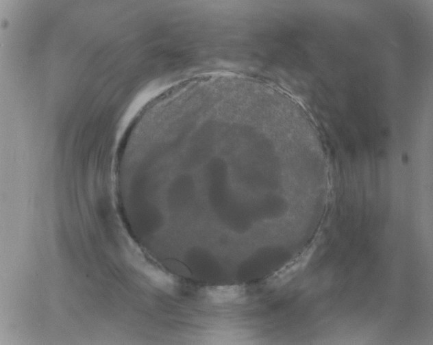 X0000066120102200604071922