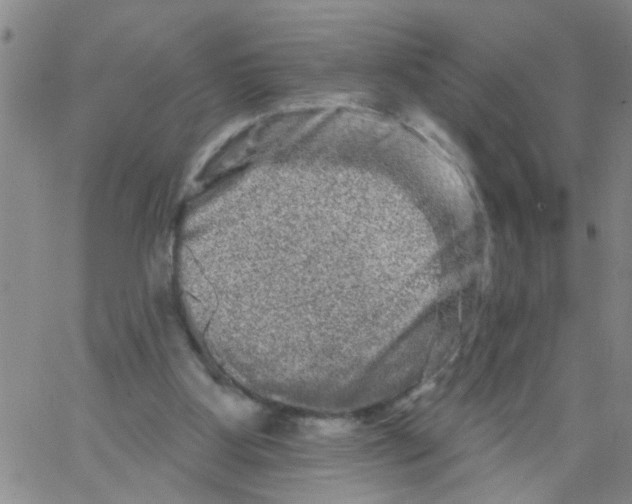 X0000066120107200604071922