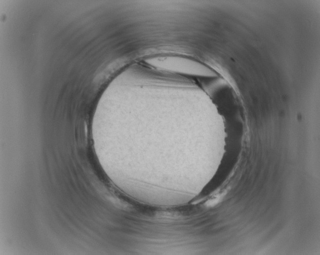 X0000066120109200604071922