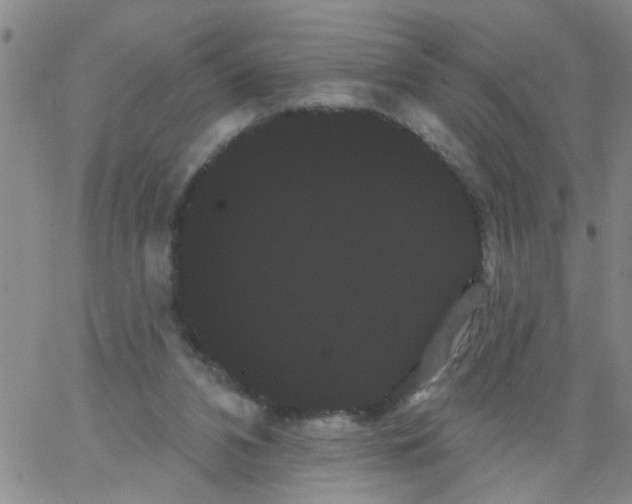 X0000066120112200604071922