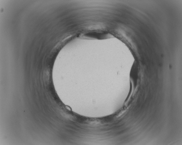 X0000066120113200604071922