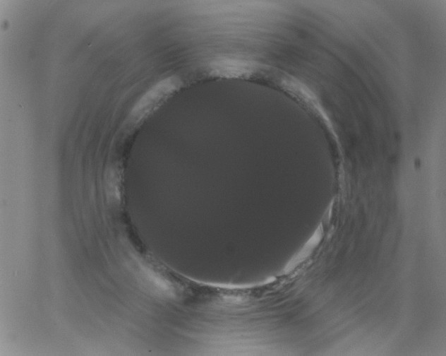 X0000066120114200604071922